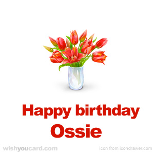 happy birthday Ossie bouquet card