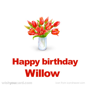 happy birthday Willow bouquet card