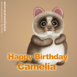 happy birthday Camelia racoon card