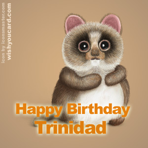 happy birthday Trinidad racoon card