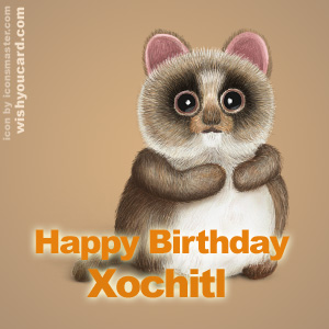 happy birthday Xochitl racoon card